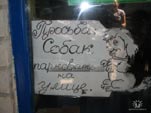 Нажмите чтобы увеличить Фотографии, смешные отдыхающие в пгт Приморский.